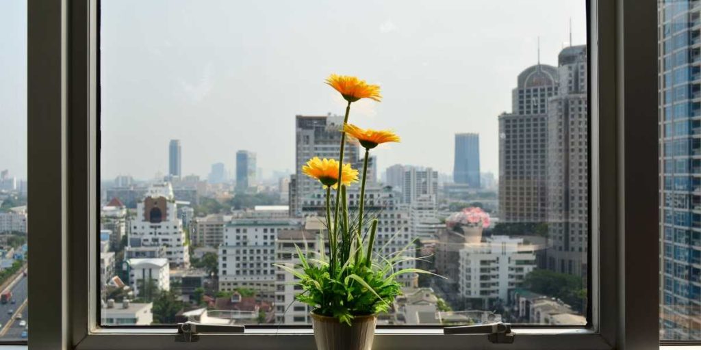 window with flower pot and city skyline view