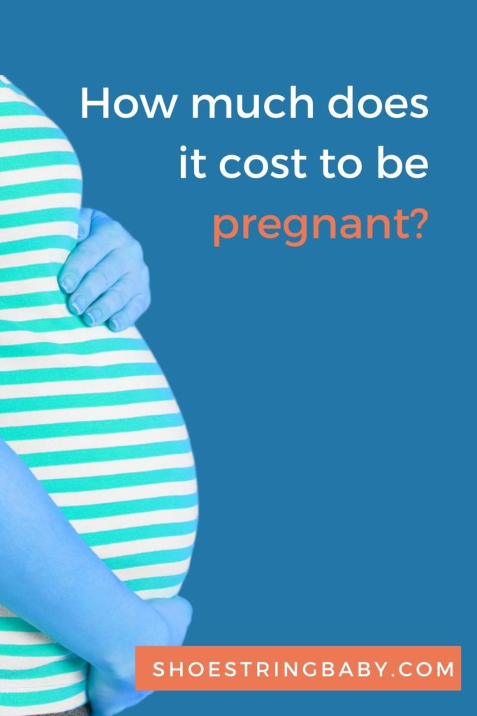 how much does it cost to be pregnant?
