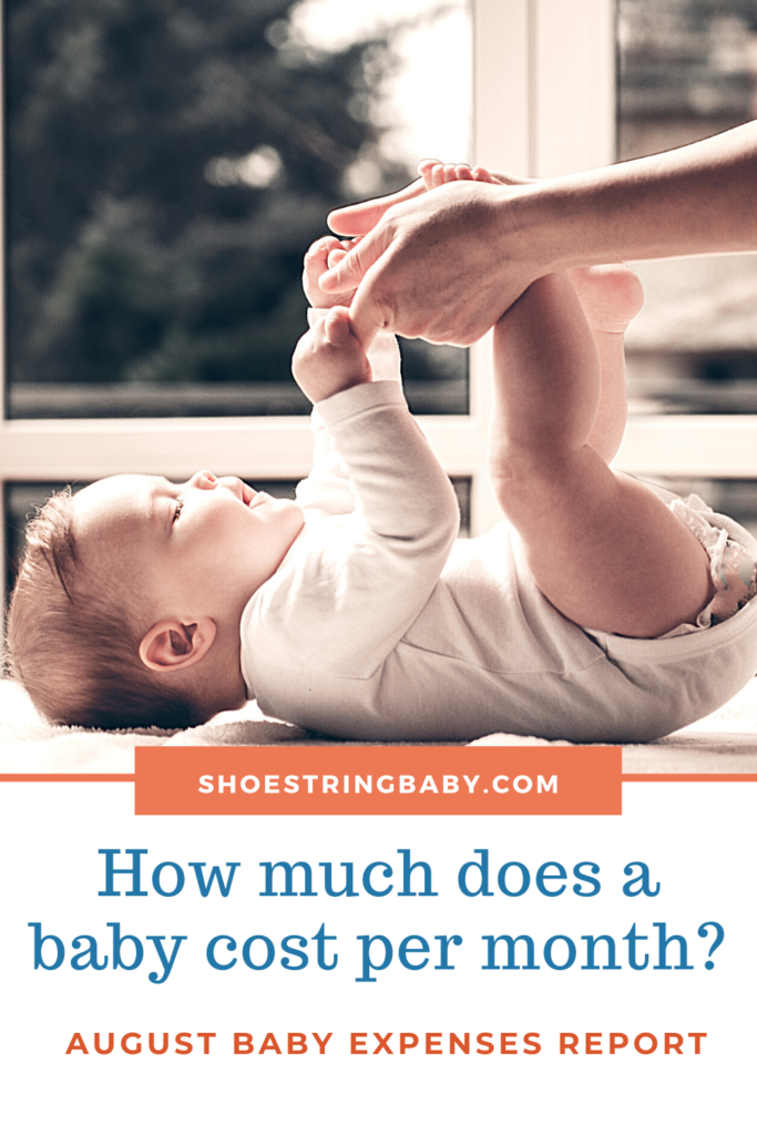 How much does a baby cost per month? 