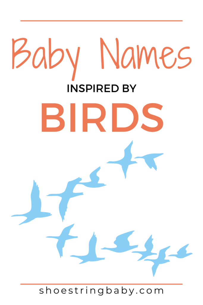 65 Bird Inspired Baby Names for Girls and Boys