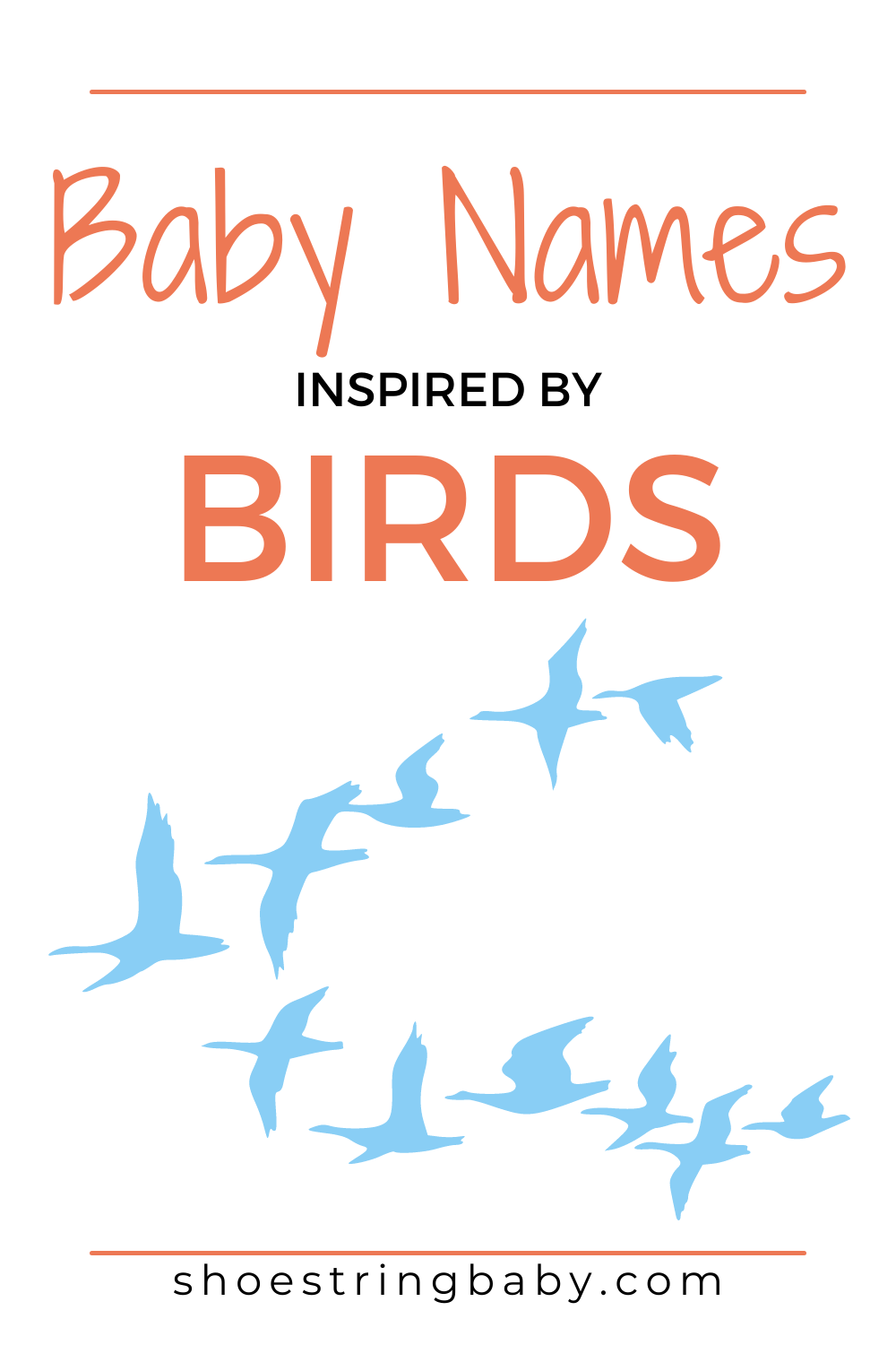 75 Bird Names for Babies That Rule the Roost