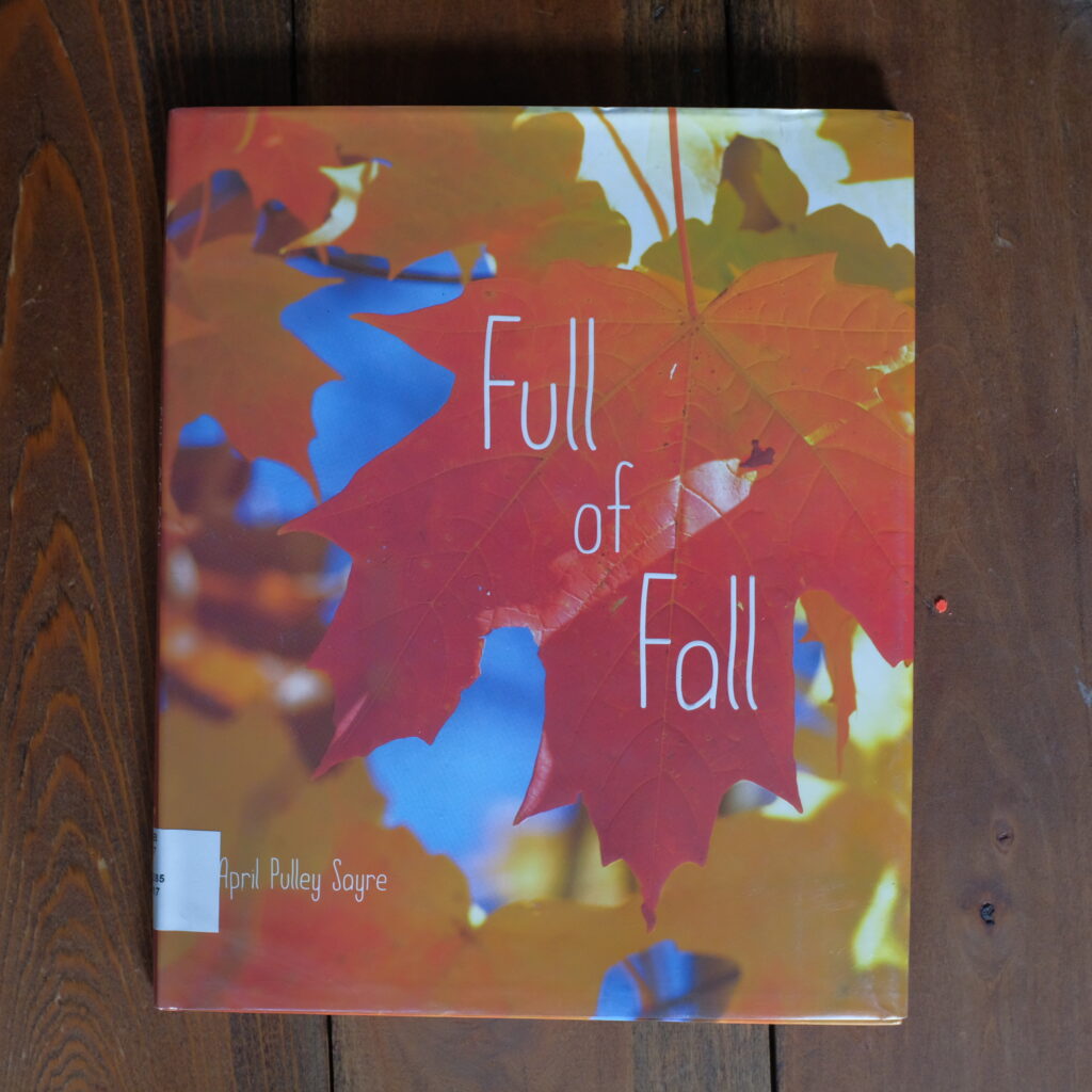 Full of Fall kids book cover