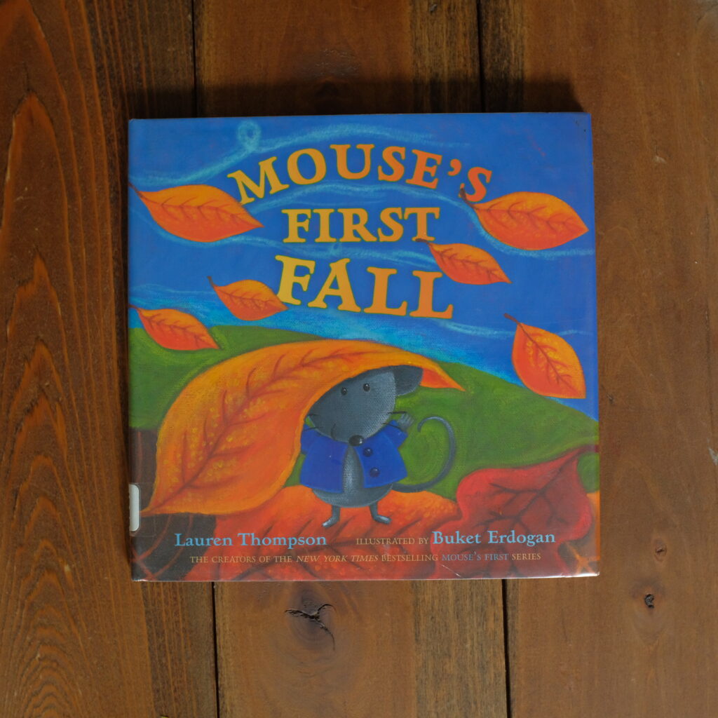 Mouse's First Fall, a toddler board book about autumn