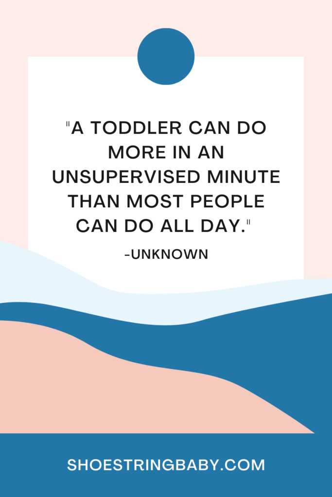 quote: a toddler can do more in an unsupervised minute than most people can do all day
