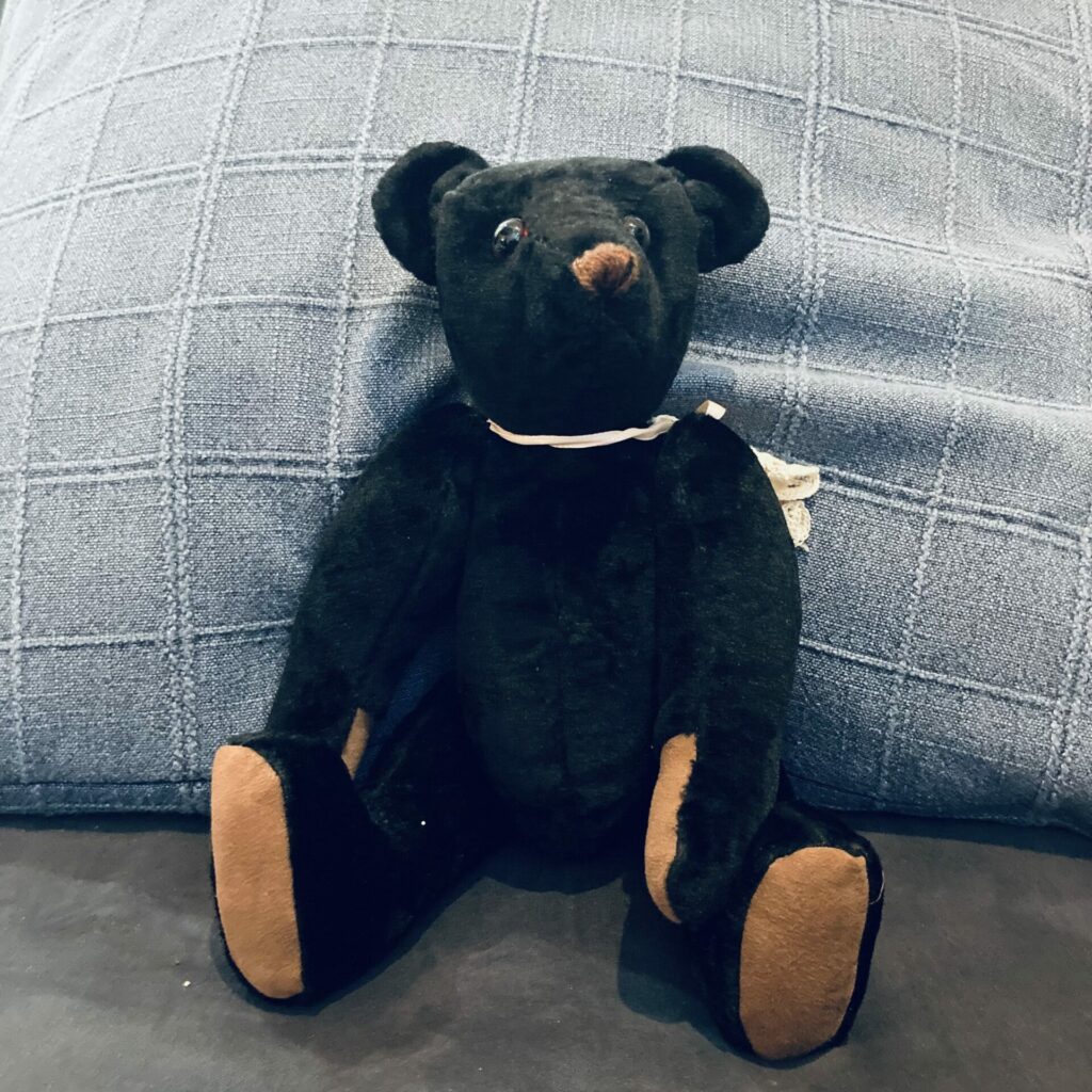 a girl black teddy bear sitting against a blue pillow