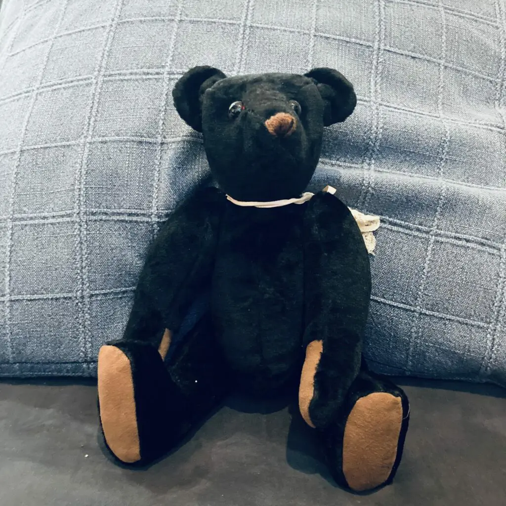 Nickname is Teddy, also hugs like a teddy bear 🧸😂 Coat and