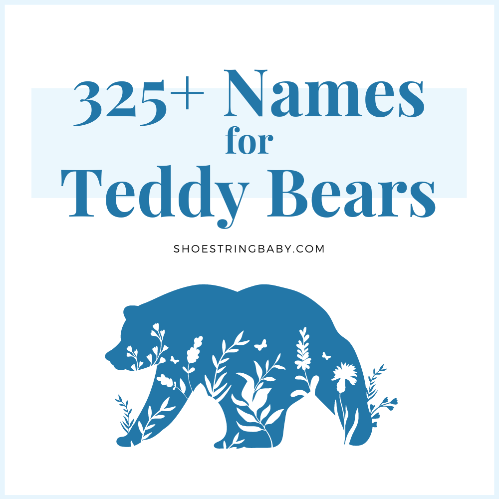 325+ names for teddy bears