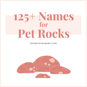 125+ Rocking Names for Pet Rocks
