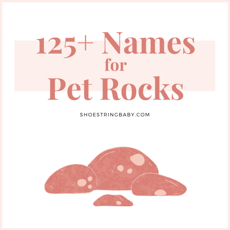 A Pet Rock Names at Mary Young blog