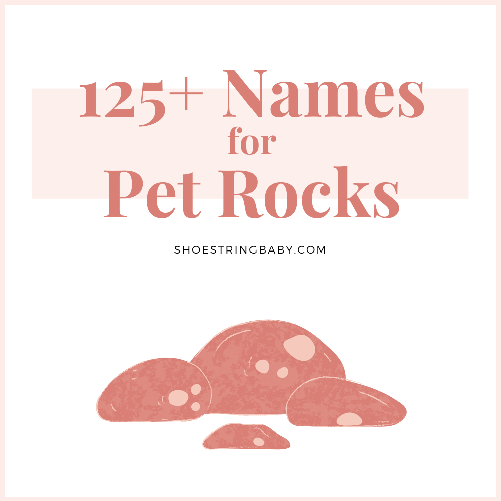 125 names for pet rocks