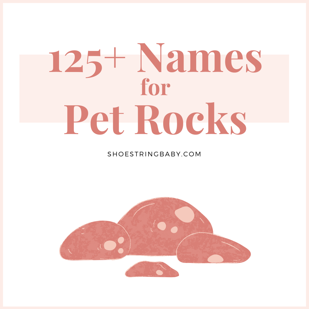 Text that says "125 names for pet rocks" in orange with a graphic of four rocks underneath