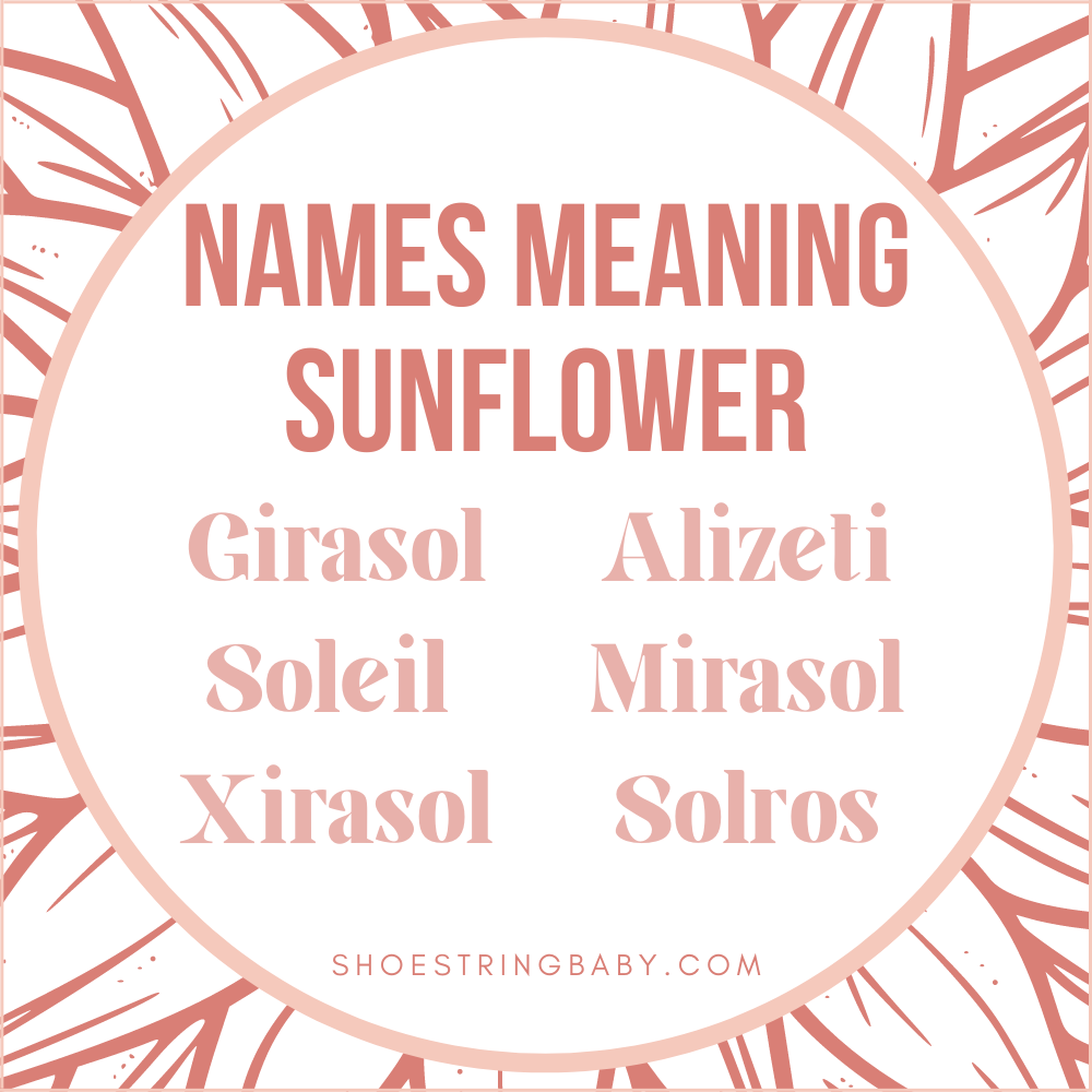 names that mean sunflower: girasol, soleil, xirasol, alizeti, mirasol, solros