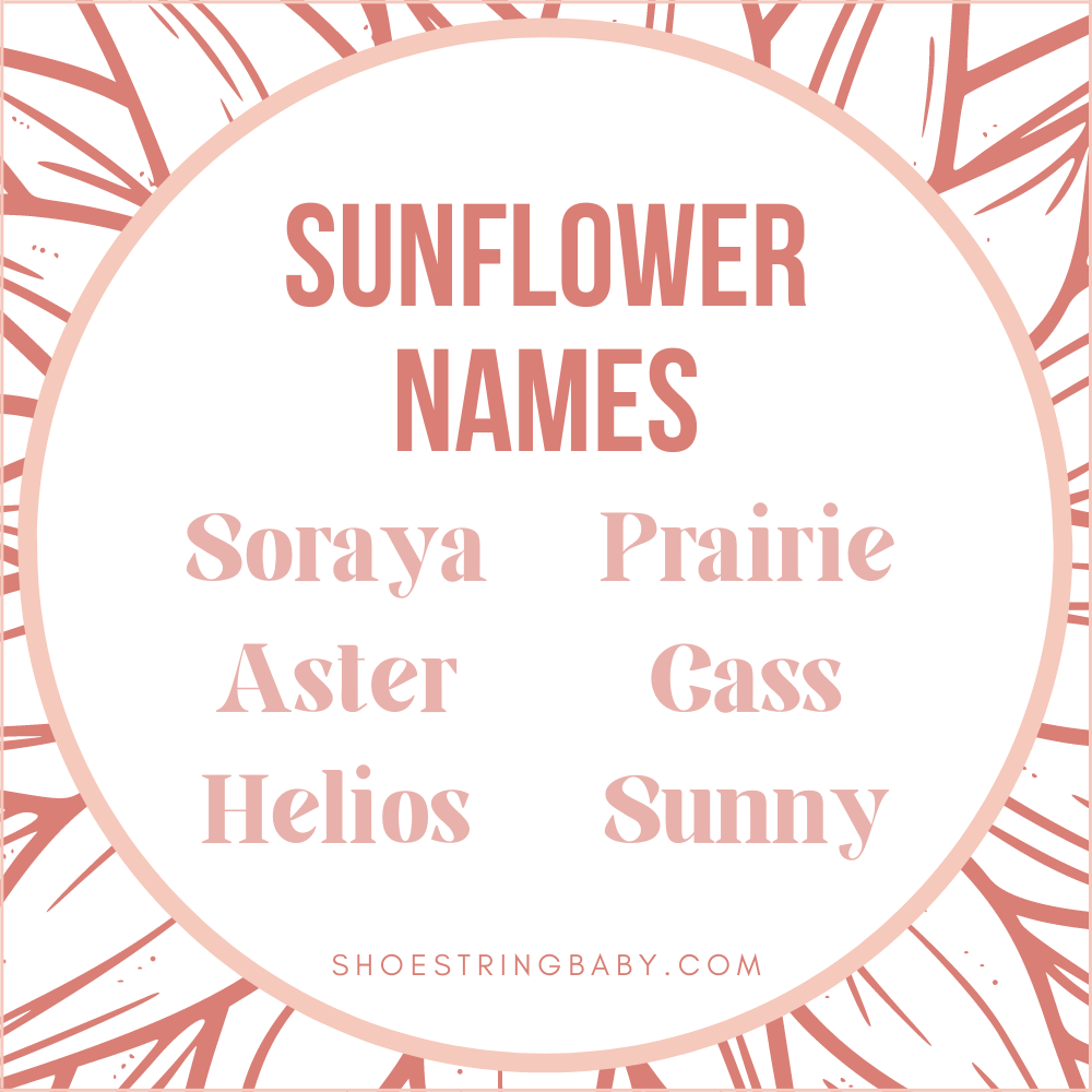 sunflower names for babies: soraya, aster, helios, prairie, cass, sunny