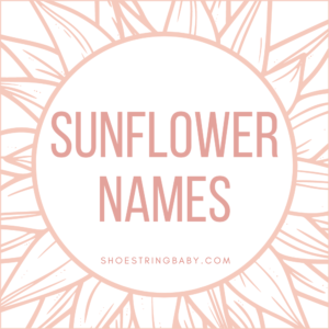 39 Cheery Sunflower Names for Your Baby