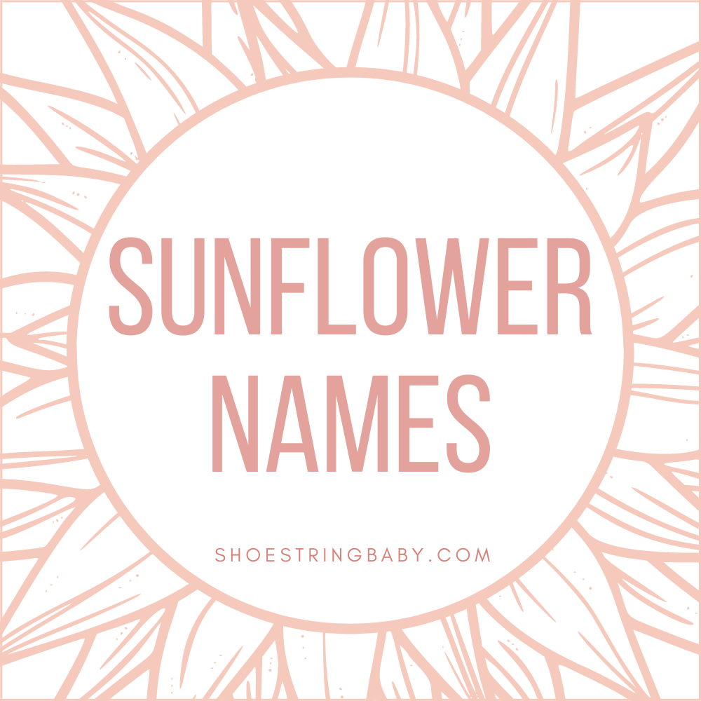 39 Cheery Sunflower Names for Your Baby