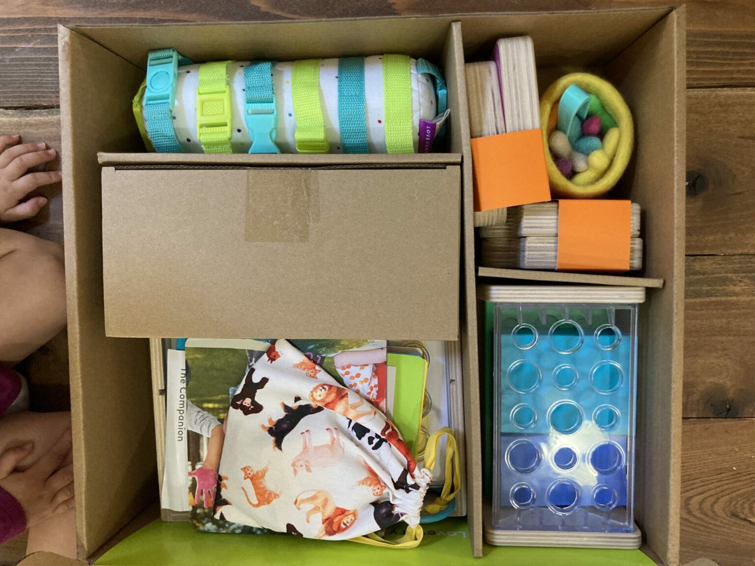 Is Lovevery Worth it? A Skeptic's Review of Lovevery Play Kits