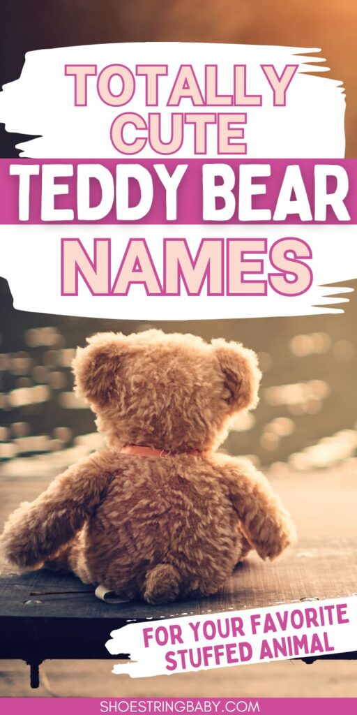 There is a teddy bear looking out at the end of a dock on a bench and the text says totally cute teddy bear names for your favorite stuffed animal
