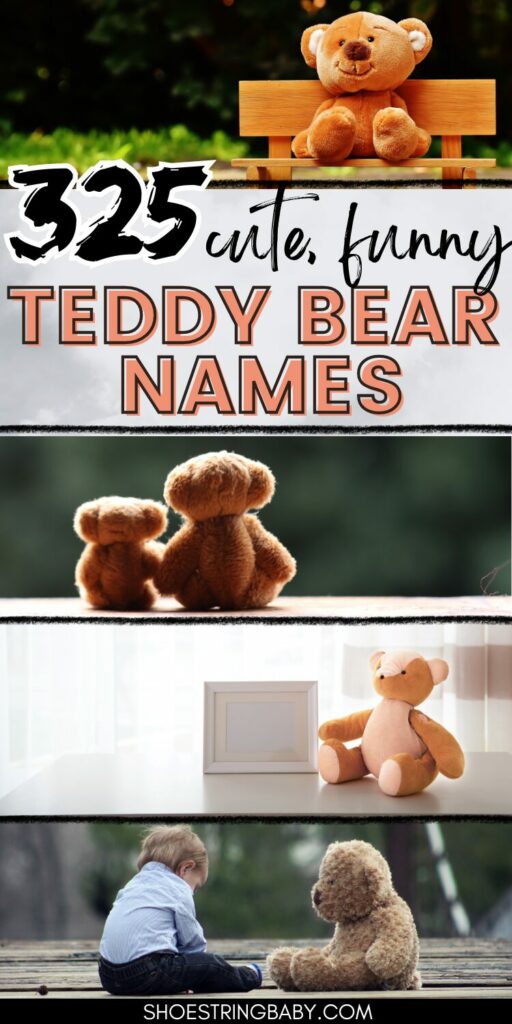 There are four pictures of teddy bears in a vertical line across the picture. the text says 325 cute, funny teddy bear names