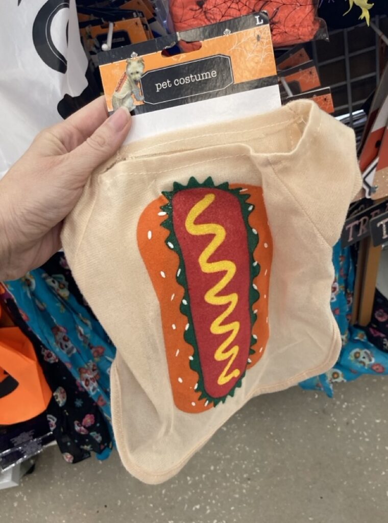a pet costume of a hot dog being held up by a hand