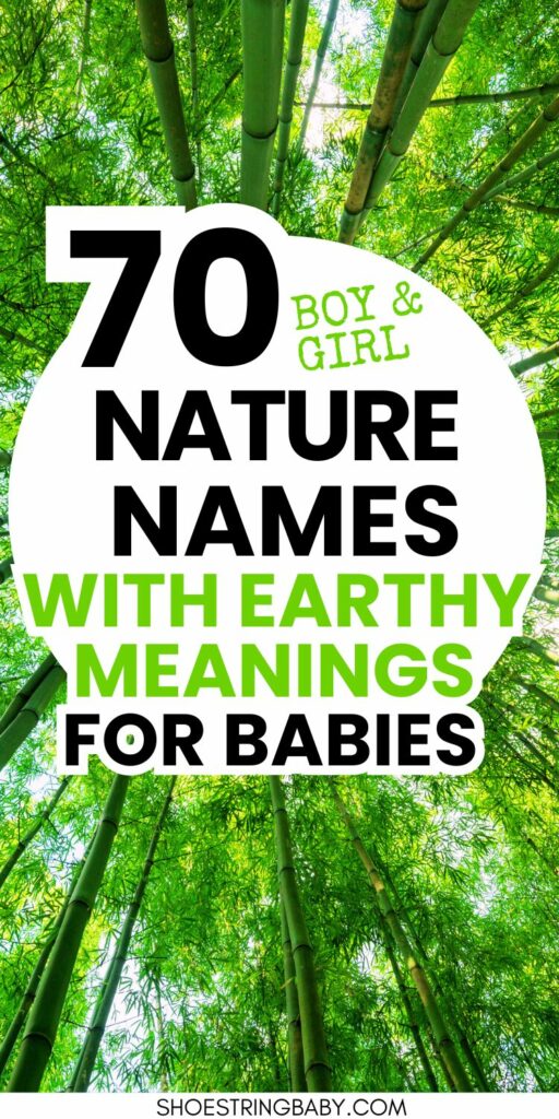 Looking up at bamboo tree forest. There is a white circle in the middle iwth text that says 70 boy & girl nature names with earthy meanings for babies