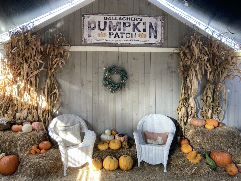 Photo backdrop at a pumpkin patch with two white wicker chairs and pumpkins and hay around them