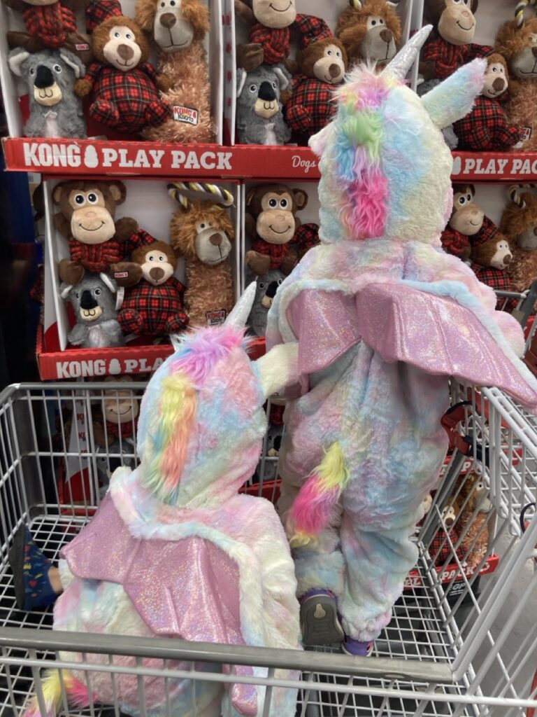 The backs of two toddlers in rainbow color unicorn costumes