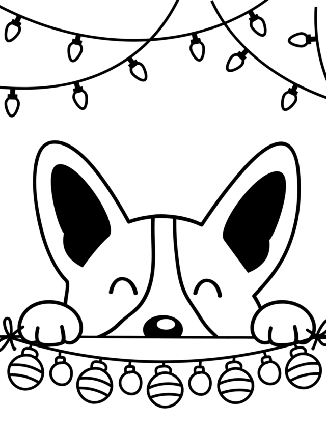 the head of a corgi looking over a wall with christmas garland and christmas lights