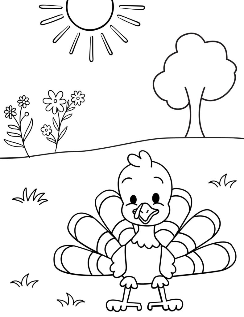 A coloring page of a baby turkey in a field.